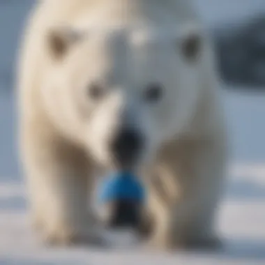 Magnificent The Importance of Polar Care 300 Replacement Pump: A Comprehensive Guide