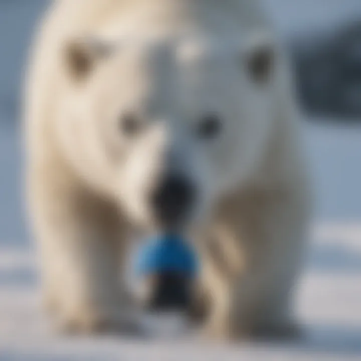 Magnificent The Importance of Polar Care 300 Replacement Pump: A Comprehensive Guide