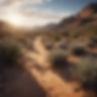 Stunning Desert Landscape