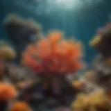 A vibrant coral reef teeming with diverse marine life, showcasing the beauty and complexity of underwater ecosystems.
