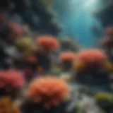 A vibrant coral reef teeming with diverse marine life
