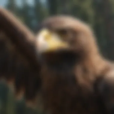 Eagle soaring high in the sky with keen eyesight