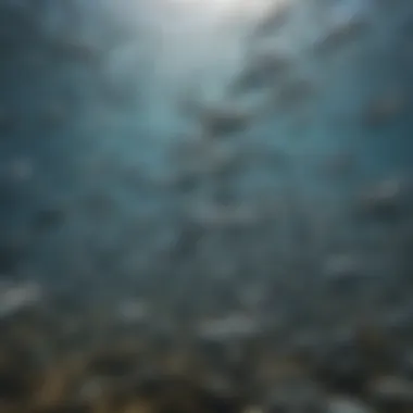 A school of shimmering sardines swimming in a synchronized manner.