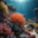 A vibrant coral reef bustling with marine life