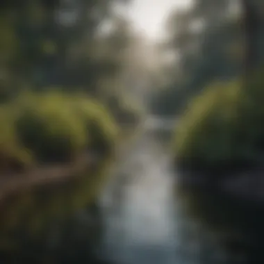 An estuary showcasing the unique blend of fresh and saltwater species