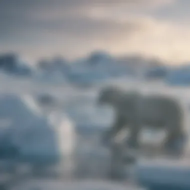 Arctic Adventure in Greenland