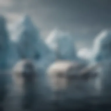 A pod of narwhals swimming beneath the ice