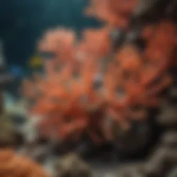 A vibrant coral reef teeming with diverse marine life