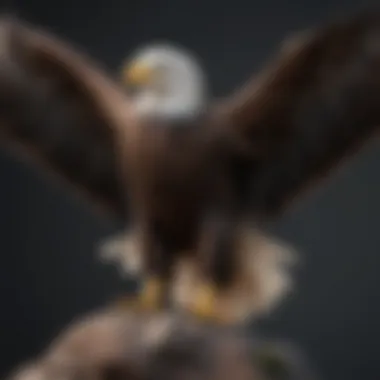 Bald Eagle with outstretched wings in a regal pose