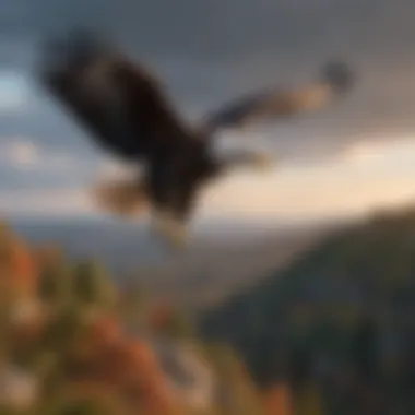 Bald Eagle Soaring High in Pennsylvania Skies