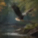 A bald eagle perched on a tree branch, scanning the water for fish.