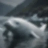 Beluga whale swimming gracefully in icy waters