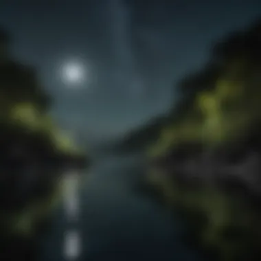 Nature's Nighttime Spectacle Bioluminescent Bay at Night