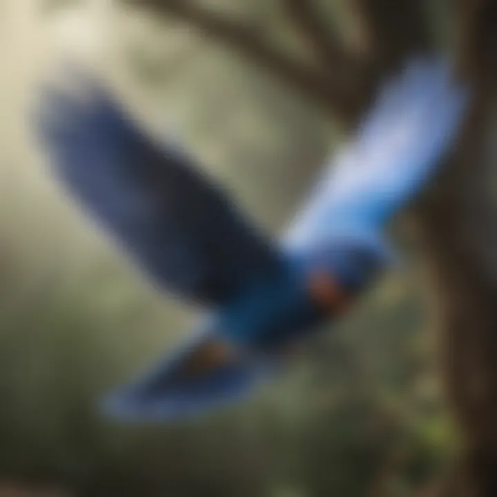 Blue Bird in Flight