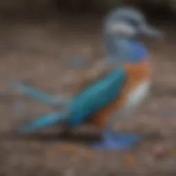 Blue-footed bird displaying its colorful feet