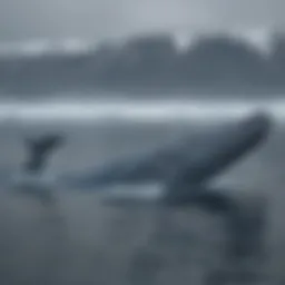 Blue Whale in Arctic Waters