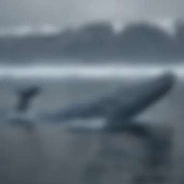 Blue Whale in Arctic Waters