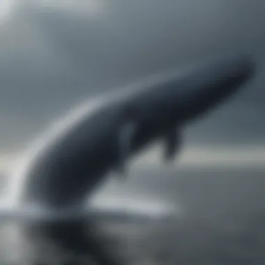 Blue whale breaching display adaptation