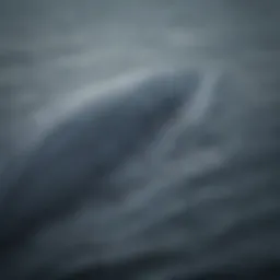 Magnificent Blue Whale Flukes in Action
