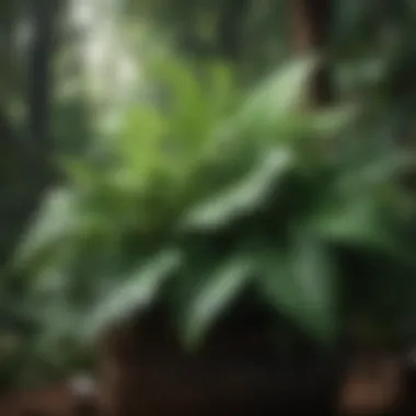 Botanical Symphony in Green: A mesmerizing depiction of lush foliage and intricate patterns