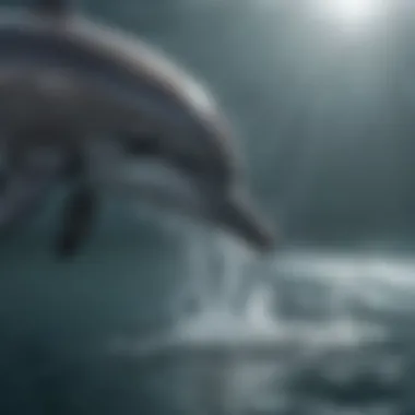 Bottlenose dolphin communicating with others