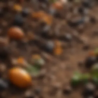 Close-up of layered compost materials