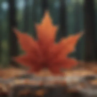 Maple leaf symbolizing Canada's national identity