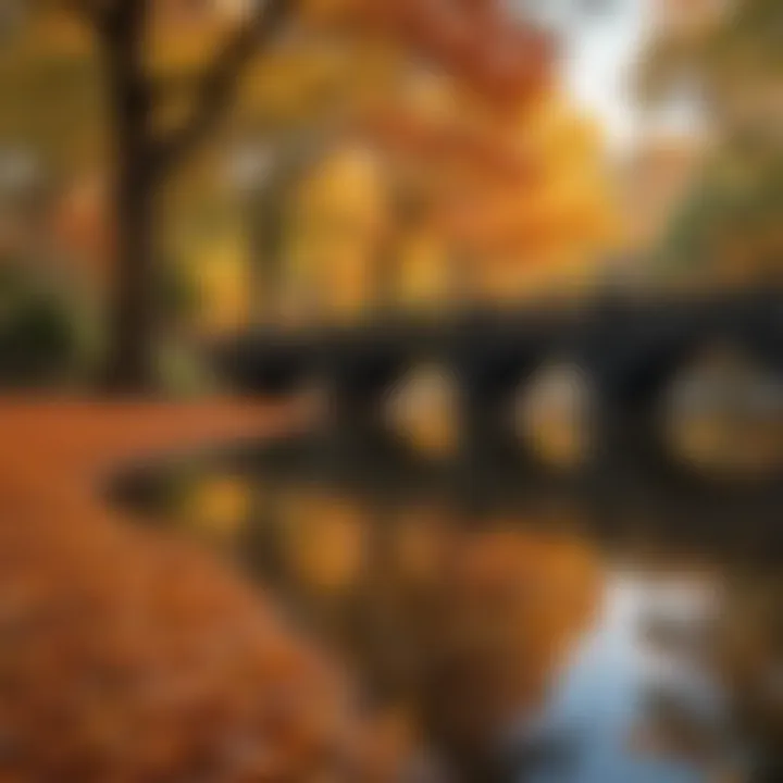 Artistic representation of Central Park in fall colors