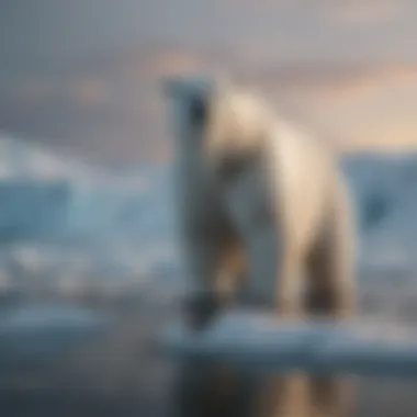 An animated representation of polar bears on melting ice, illustrating the effects of climate change.