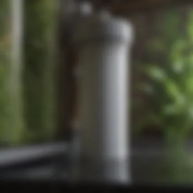 Close-Up of Filter Cartridge Replacement