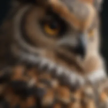 Intricate Patterns of Nature Close-up of Horned Owl's Unique Feathers