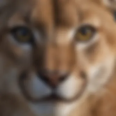 Close-up of Mountain Lion's Piercing Eyes