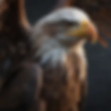 Close-Up of American Eagle's Sharp Talons