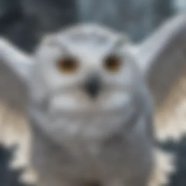 Elegant Wingspan of the Snowy Owl Close-up of snowy owl showcasing its impressive wingspan