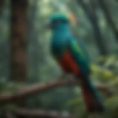 Colorful Avian Wonder