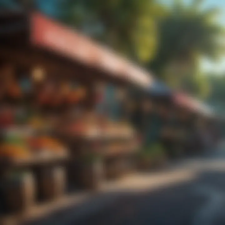 Colorful Caribbean Street Market in Cruz Bay