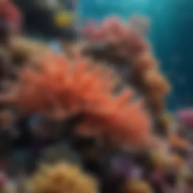 Colorful Coral Reef Teeming with Life in Georgia Ocean