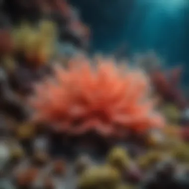 Colorful Coral Reef Teeming with Life