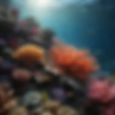 Colorful Coral Reef Teeming with Marine Life