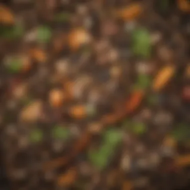 Variety of kitchen scraps and yard waste ready to be composted in a bin