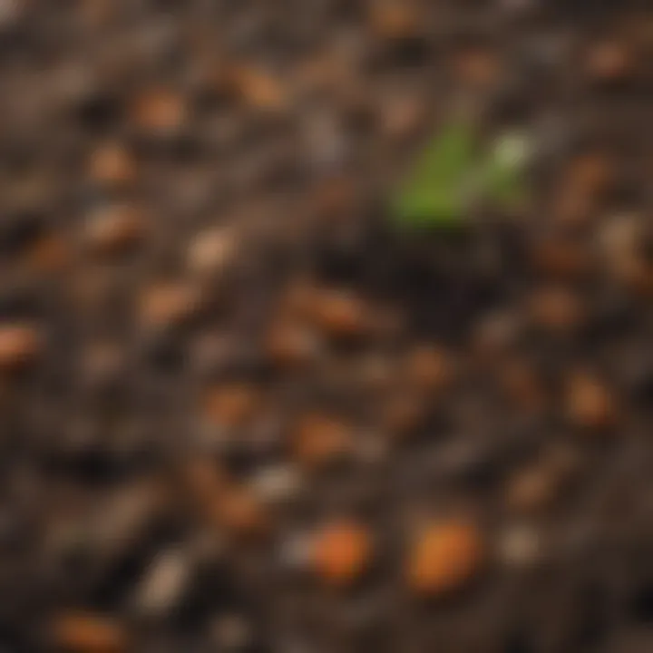 Rich compost pile ready for use in gardens