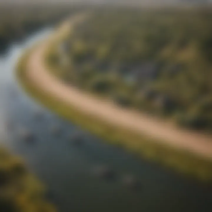 Aerial View of Hippopotamus Habitat An aerial view of a hippopotamus pod, highlighting their habitat and the surrounding ecosystem.