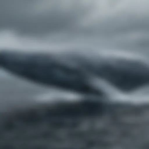 A majestic blue whale swimming gracefully in the ocean