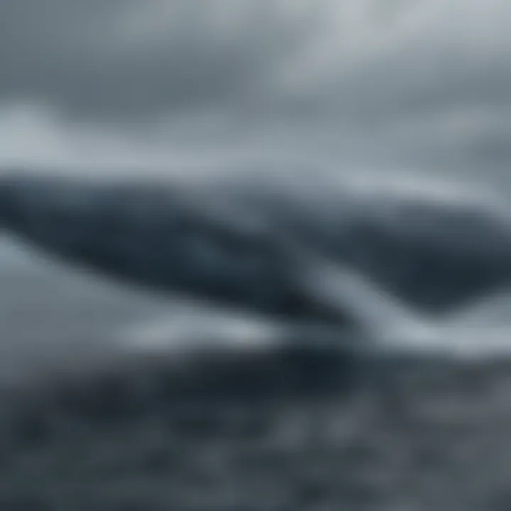 A majestic blue whale swimming gracefully in the ocean