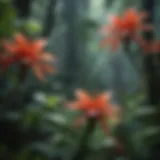Vibrant flora of the tropical rainforest