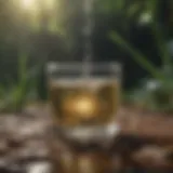 Materials required for building a water filter