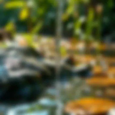 Clean Water Source Highlighting Health Benefits Clean water source highlighting health benefits