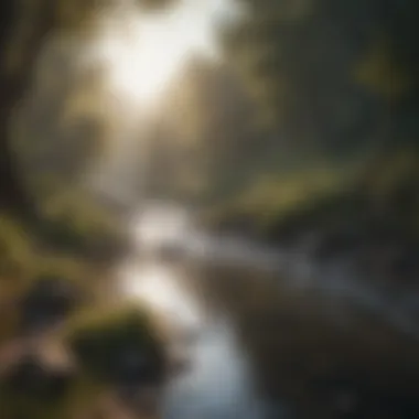 Contaminated River Flowing Through Wildlife Habitat