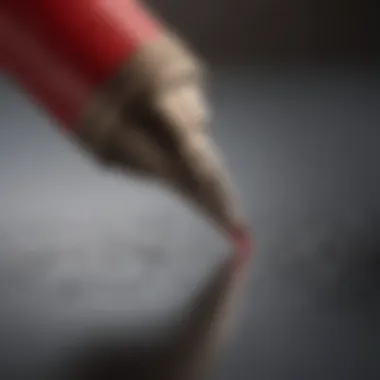 Polishing Your Work A close-up of a red pen editing a written essay.