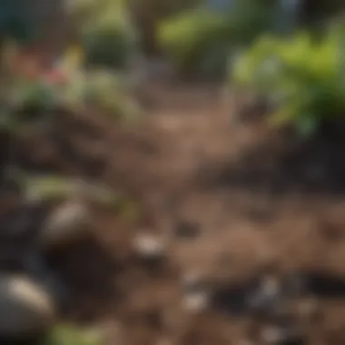 Nourishing Earth Healthy soil enriched with compost in a garden bed